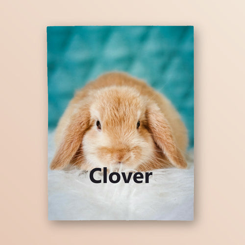 Custom pet photo plush blanket 30x40 showing a rabbit photo and the name Clover