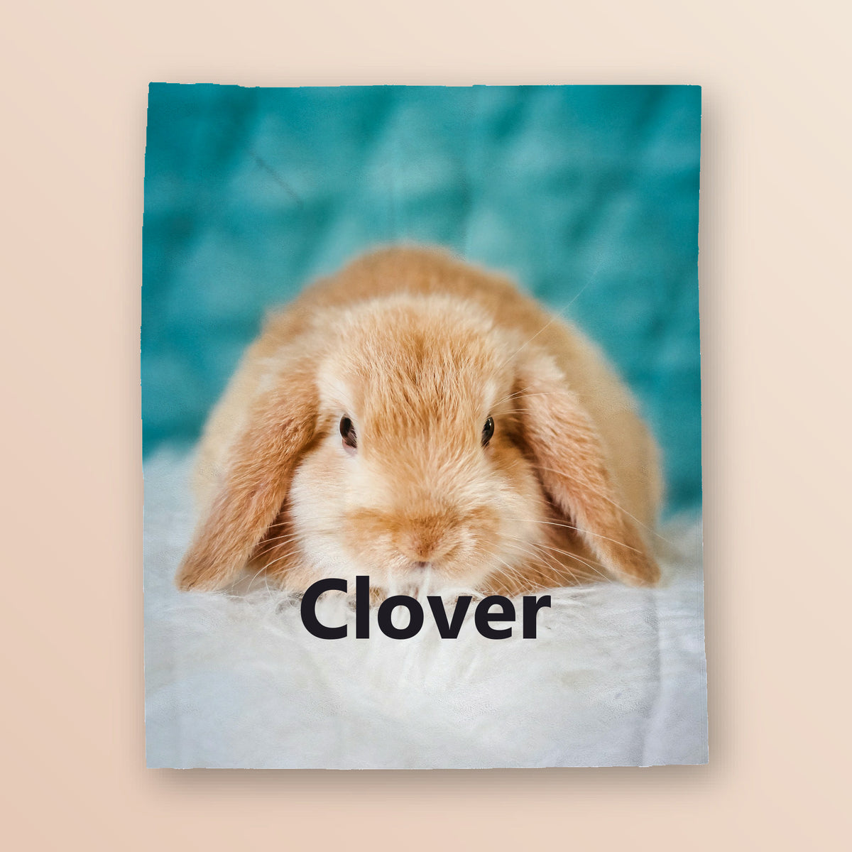 Custom pet photo plush blanket 50x60 showing a rabbit photo and the name Clover