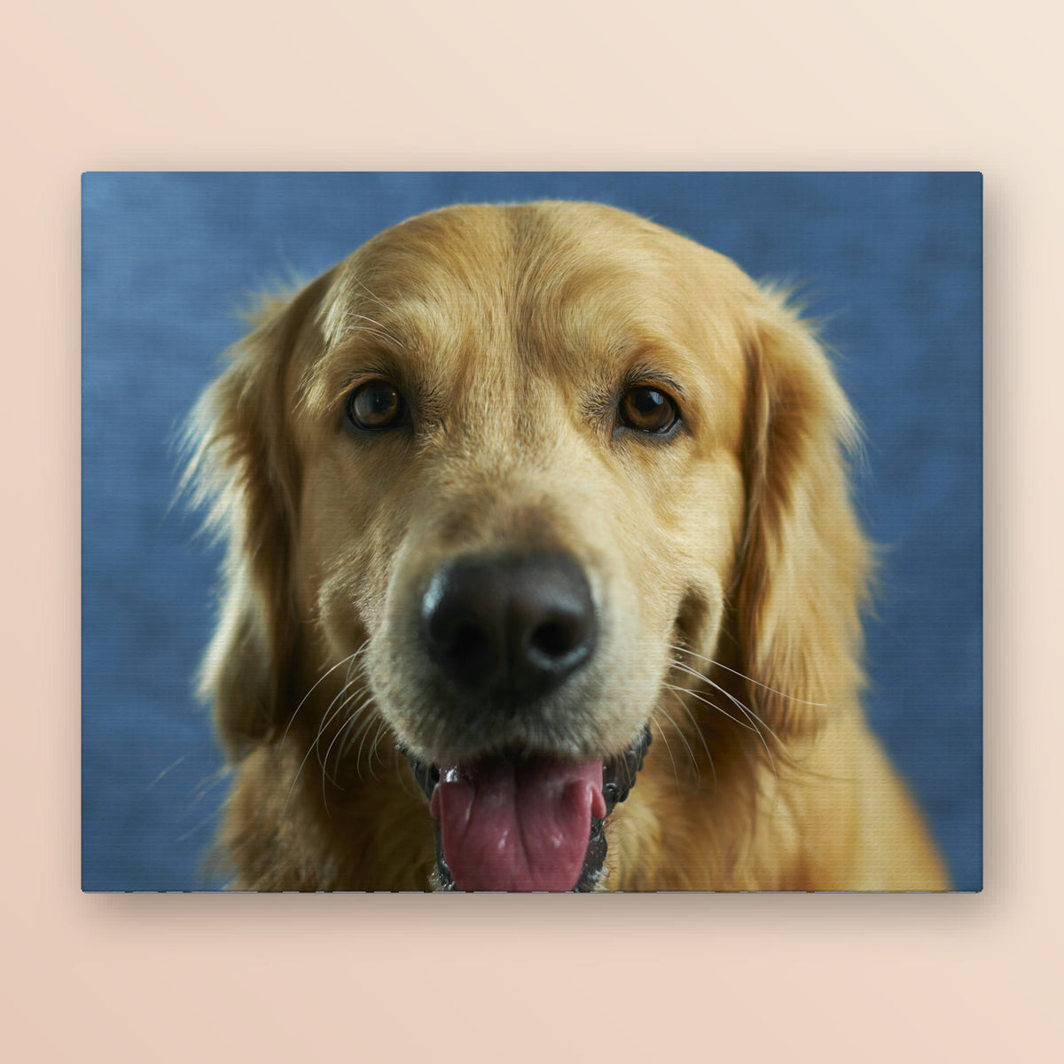 Custom pet portrait canvas showing a golden retriever photo