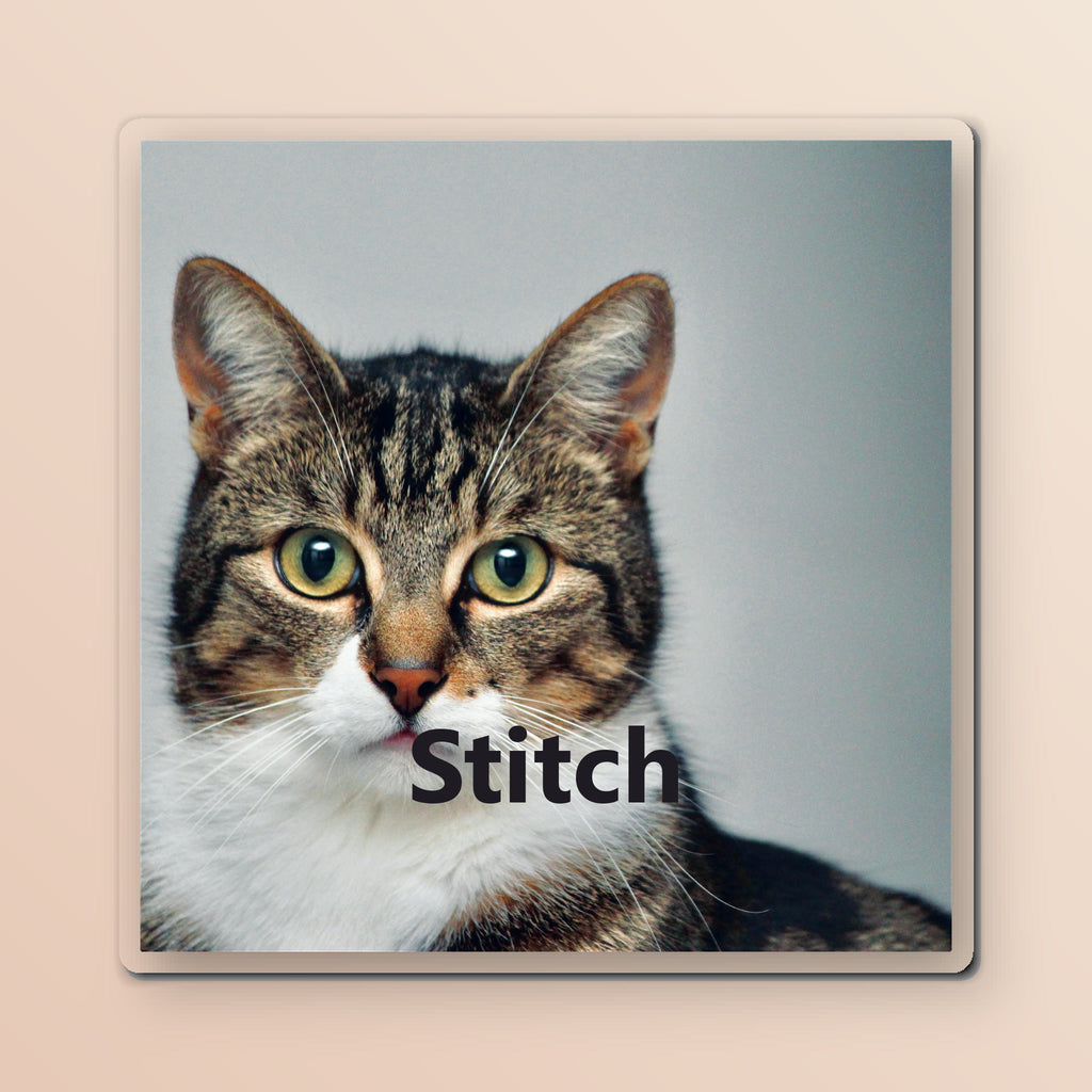 Custom pet photo fridge magnet showing a tabby cat photo and the name Stitch