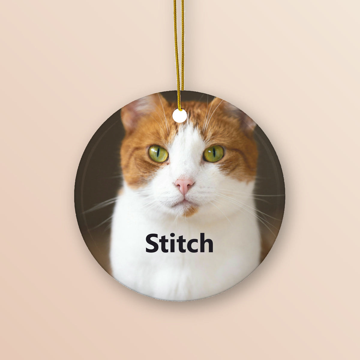 Custom pet photo ceramic ornament showing a cat photo and the name Stitch